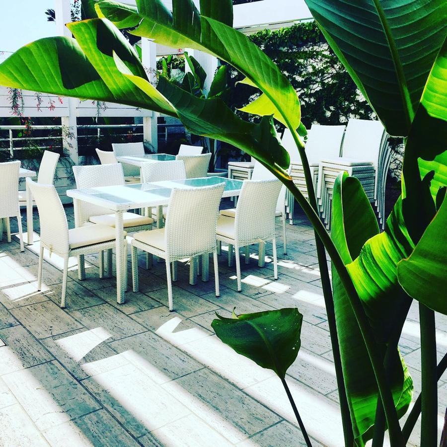 Bed and Breakfast Foglie D' Acqua Bisceglie Exterior foto