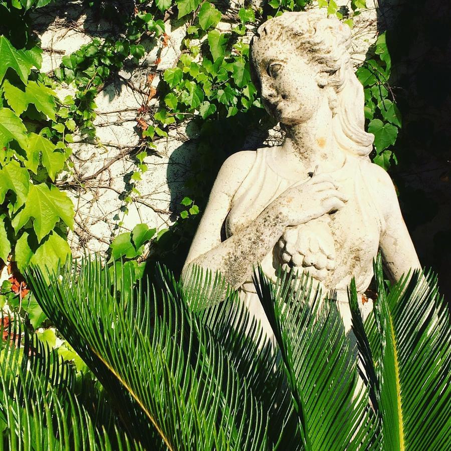 Bed and Breakfast Foglie D' Acqua Bisceglie Exterior foto