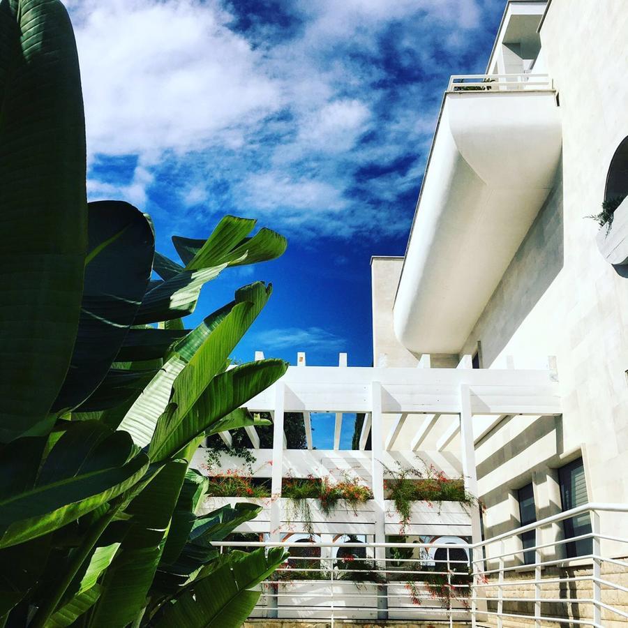 Bed and Breakfast Foglie D' Acqua Bisceglie Exterior foto